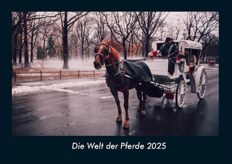 Tobias Becker: Die Welt der Pferde 2025 Fotokalender DIN A4, Kalender