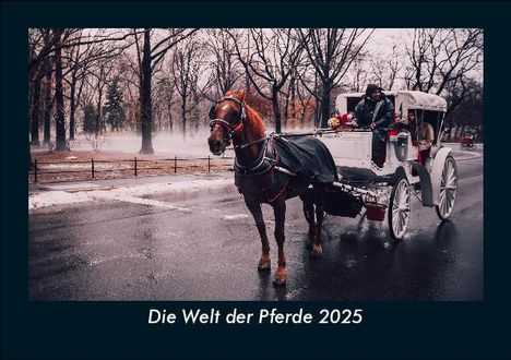 Tobias Becker: Die Welt der Pferde 2025 Fotokalender DIN A5, Kalender