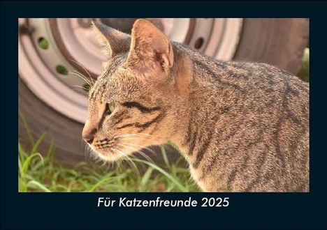 Tobias Becker: Für Katzenfreunde 2025 Fotokalender DIN A5, Kalender