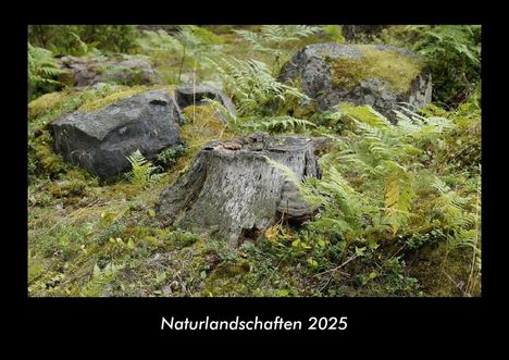 Tobias Becker: Naturlandschaften 2025 Fotokalender DIN A3, Kalender