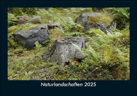 Tobias Becker: Naturlandschaften 2025 Fotokalender DIN A5, Kalender