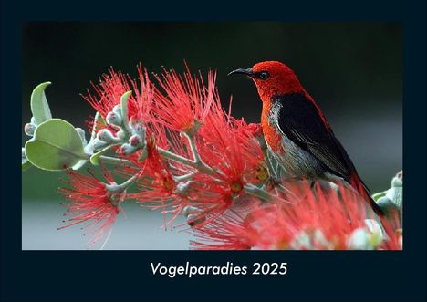 Tobias Becker: Vogelparadies 2025 Fotokalender DIN A4, Kalender