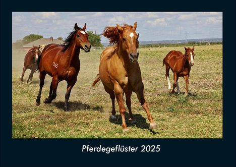 Tobias Becker: Pferdegeflüster 2025 Fotokalender DIN A4, Kalender