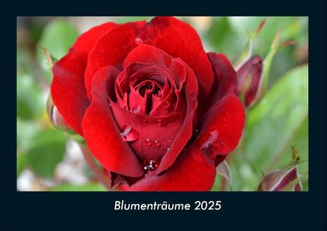 Tobias Becker: Blumenträume 2025 Fotokalender DIN A4, Kalender