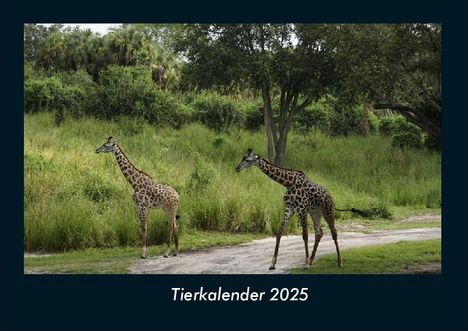 Tobias Becker: Tierkalender 2025 Fotokalender DIN A4, Kalender