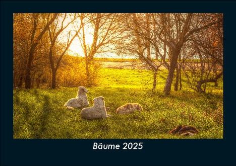 Tobias Becker: Bäume 2025 Fotokalender DIN A5, Kalender