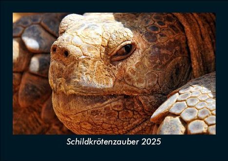 Tobias Becker: Schildkrötenzauber 2025 Fotokalender DIN A5, Kalender