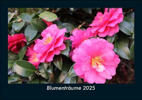 Tobias Becker: Blumenträume 2025 Fotokalender DIN A5, Kalender