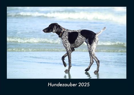 Tobias Becker: Hundezauber 2025 Fotokalender DIN A4, Kalender