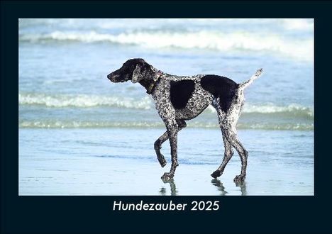 Tobias Becker: Hundezauber 2025 Fotokalender DIN A5, Kalender