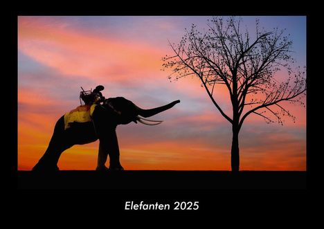 Tobias Becker: Elefanten 2025 Fotokalender DIN A3, Kalender