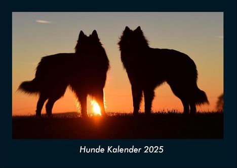 Tobias Becker: Hunde Kalender 2025 Fotokalender DIN A4, Kalender