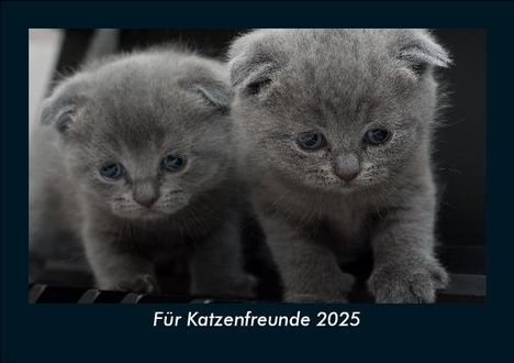 Tobias Becker: Für Katzenfreunde 2025 Fotokalender DIN A5, Kalender