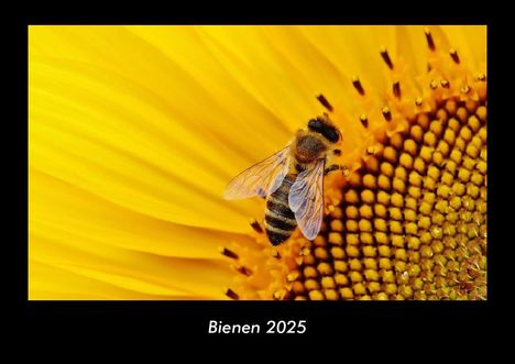 Tobias Becker: Bienen 2025 Fotokalender DIN A3, Kalender