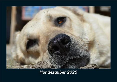 Tobias Becker: Hundezauber 2025 Fotokalender DIN A5, Kalender