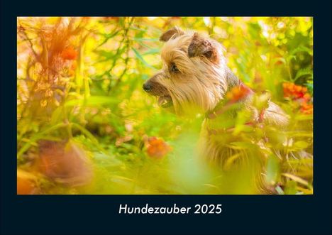 Tobias Becker: Hundezauber 2025 Fotokalender DIN A4, Kalender