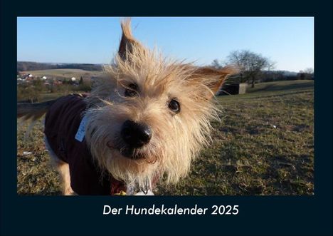 Tobias Becker: Der Hundekalender 2025 Fotokalender DIN A4, Kalender