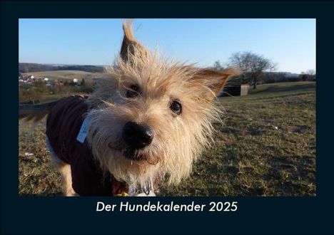 Tobias Becker: Der Hundekalender 2025 Fotokalender DIN A5, Kalender