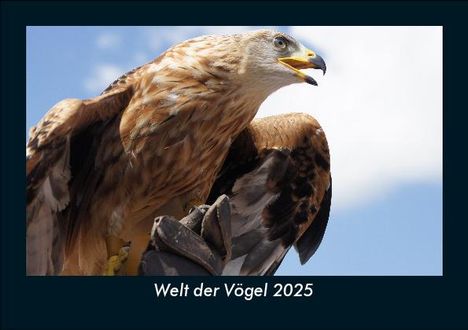 Tobias Becker: Welt der Vögel 2025 Fotokalender DIN A5, Kalender