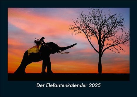 Tobias Becker: Der Elefantenkalender 2025 Fotokalender DIN A5, Kalender