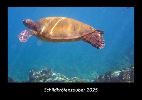 Tobias Becker: Schildkrötenzauber 2025 Fotokalender DIN A3, Kalender