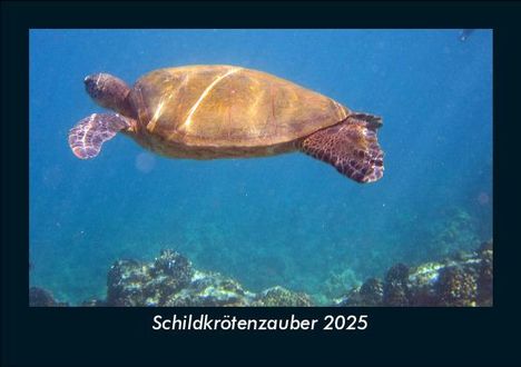 Tobias Becker: Schildkrötenzauber 2025 Fotokalender DIN A5, Kalender