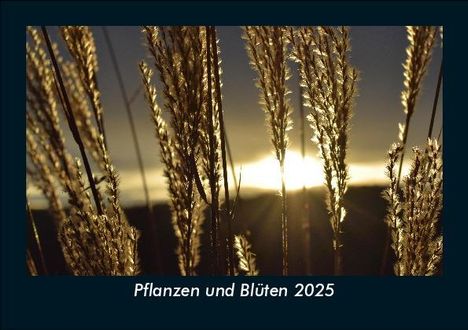 Tobias Becker: Pflanzen und Blüten 2025 Fotokalender DIN A5, Kalender