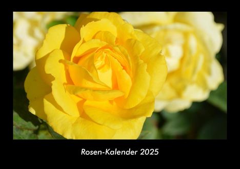 Tobias Becker: Rosen-Kalender 2025 Fotokalender DIN A3, Kalender