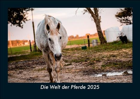 Tobias Becker: Die Welt der Pferde 2025 Fotokalender DIN A5, Kalender