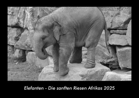 Tobias Becker: Elefanten - Die sanften Riesen Afrikas 2025 Fotokalender DIN A3, Kalender