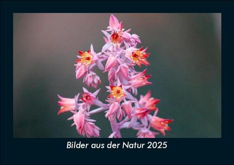 Tobias Becker: Bilder aus der Natur 2025 Fotokalender DIN A5, Kalender