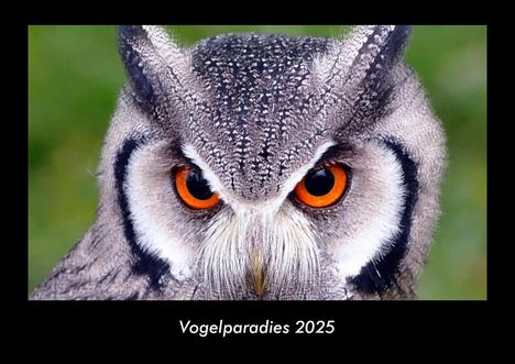 Tobias Becker: Vogelparadies 2025 Fotokalender DIN A3, Kalender