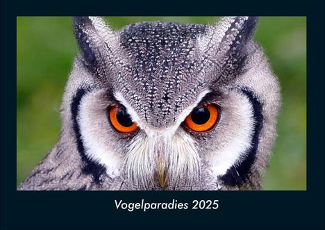 Tobias Becker: Vogelparadies 2025 Fotokalender DIN A4, Kalender