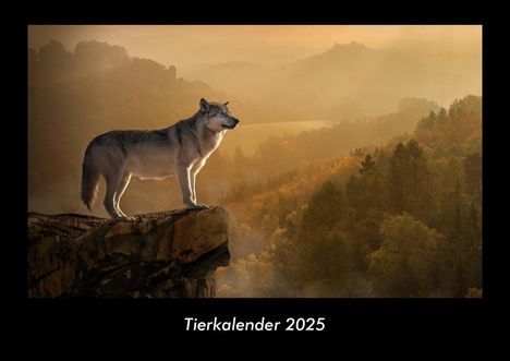 Tobias Becker: Tierkalender 2025 Fotokalender DIN A3, Kalender