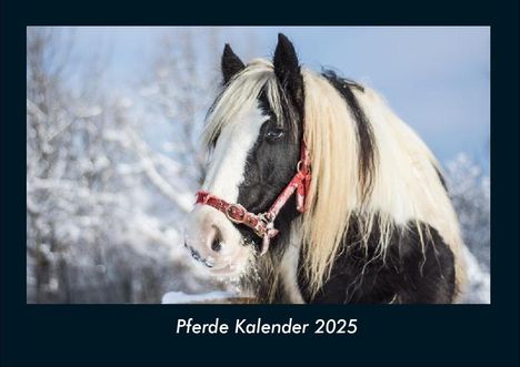 Tobias Becker: Pferde Kalender 2025 Fotokalender DIN A4, Kalender