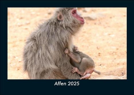 Tobias Becker: Affen 2025 Fotokalender DIN A5, Kalender