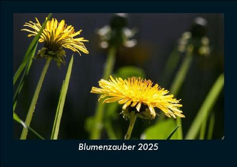 Tobias Becker: Blumenzauber 2025 Fotokalender DIN A5, Kalender