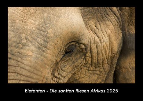 Tobias Becker: Elefanten - Die sanften Riesen Afrikas 2025 Fotokalender DIN A3, Kalender