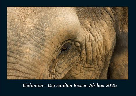 Tobias Becker: Elefanten - Die sanften Riesen Afrikas 2025 Fotokalender DIN A4, Kalender