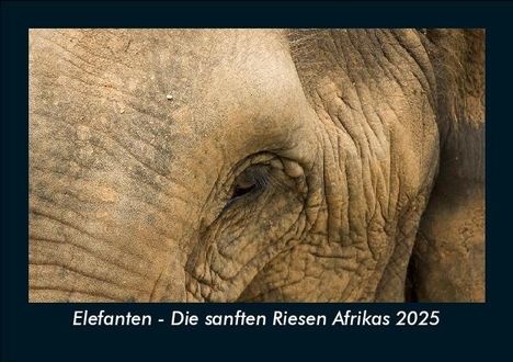 Tobias Becker: Elefanten - Die sanften Riesen Afrikas 2025 Fotokalender DIN A5, Kalender