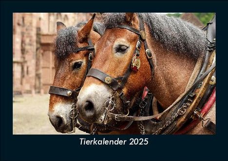 Tobias Becker: Tierkalender 2025 Fotokalender DIN A5, Kalender