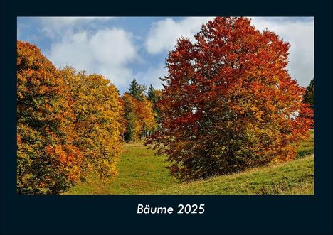 Tobias Becker: Bäume 2025 Fotokalender DIN A4, Kalender