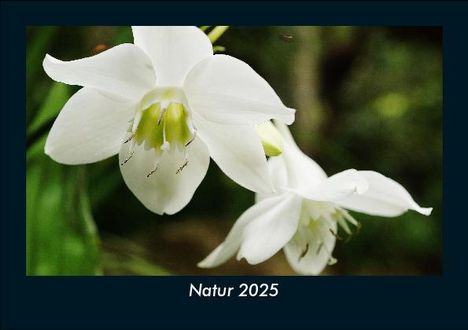 Tobias Becker: Natur 2025 Fotokalender DIN A5, Kalender