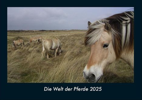 Tobias Becker: Die Welt der Pferde 2025 Fotokalender DIN A4, Kalender