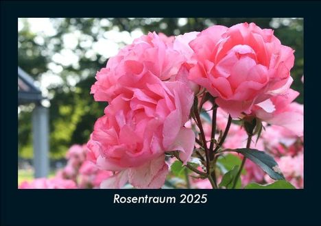 Tobias Becker: Rosentraum 2025 Fotokalender DIN A5, Kalender