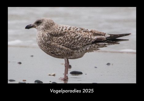 Tobias Becker: Vogelparadies 2025 Fotokalender DIN A3, Kalender