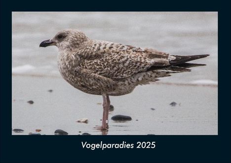 Tobias Becker: Vogelparadies 2025 Fotokalender DIN A4, Kalender