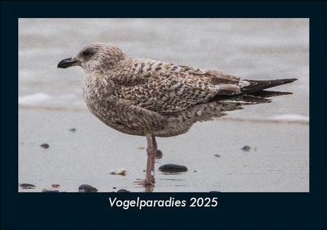 Tobias Becker: Vogelparadies 2025 Fotokalender DIN A5, Kalender