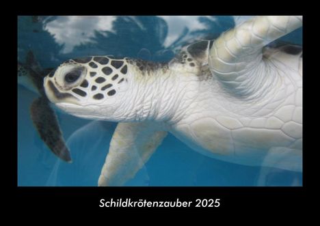 Tobias Becker: Schildkrötenzauber 2025 Fotokalender DIN A3, Kalender