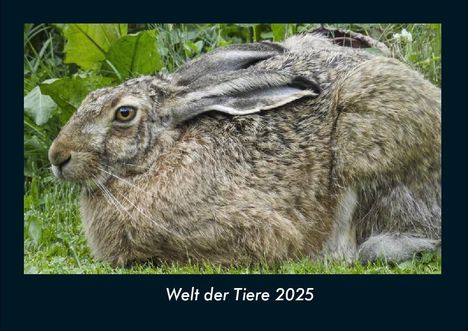 Tobias Becker: Welt der Tiere 2025 Fotokalender DIN A4, Kalender